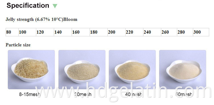 Competitive price hot selling unflavored gelatin powder